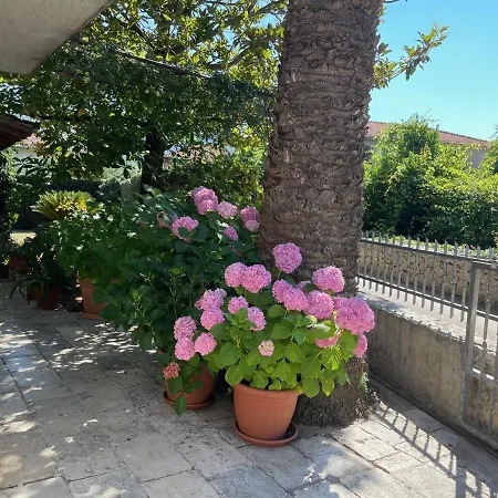 Penzion In House - S2 - Double In Jelsa On Hvar With Private Ensuite Bathroom *